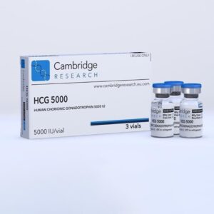 Buy HCG 5000 iu In DUBAI UAE